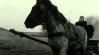 The Turin Horse  Opening Scene [upl. by Ansela]