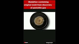 Medallion containing original mold from discovery of penicillin goes up for auctionShorts [upl. by Hamnet]