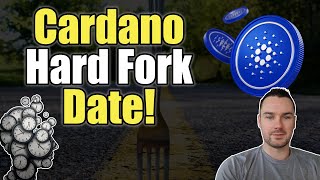 Cardano Chang Hard Fork Updates and Dates [upl. by Yerkovich]