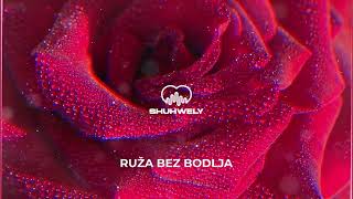 Ruža bez bodlja SHUHWELY RMX [upl. by Mond]