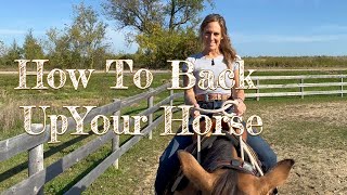 How to Back Up Your Horse  Riding Lessons for Beginners [upl. by Sulamith]