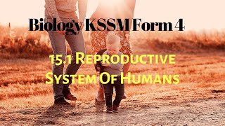 15 1 RERPRODUCTIVE SYSTEM OF HUMANS  BIOLOGY KSSM FORM 4 CHAPTER 15 [upl. by Eolhc]