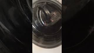 Gorenje W72Y2 test rinse [upl. by Elletsyrk161]