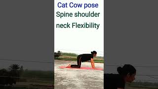 Cat Cow pose Best yoga Spin shoulders Neck Flexibility fitness motivation yogaworkout yoga [upl. by Odessa]