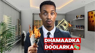 Dhamaadka Awooda Doolarka Maraykanka 🤯 [upl. by Htebazil]