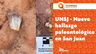 UNSJ  Nuevo hallazgo paleontológico en San Juan [upl. by Dore858]