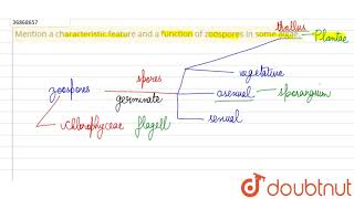 Mention a characteristic feature and a function of zoospores in some algae [upl. by Karlotte]