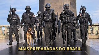 AS 10 MELHORES FORÇAS ESPECIAIS CIVIS BRASILEIRAS [upl. by Glassman]