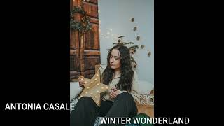 Antonia Casale  Winter Wonderland [upl. by Aicssej]