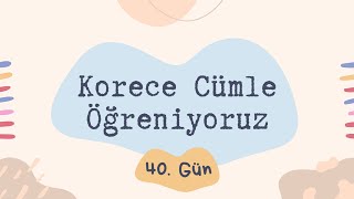 Korece Cümle Öğreniyoruz  40 Gün TOPIK 1amp2 [upl. by Branscum]