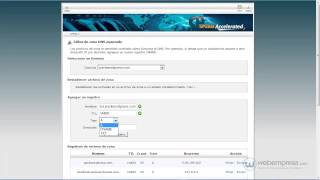 cPanel Editor de zona DNS avanzado [upl. by Anaya425]