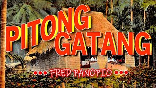 PITONG GATANG  karaoke version  popularized by FRED PANOPIO [upl. by Enaerb]