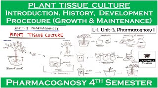 Plant Tissue Culture  Introduction  History amp Development  Growth and their maintenance  L1U3 [upl. by Jennette]