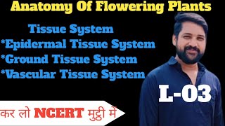 Anatomy Of Flowering Plants Class 11L03Tissue SystemEpidermal Tissue SystemShadab [upl. by Berman461]