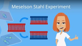 Meselson and Stahl experiment [upl. by Sinnej]