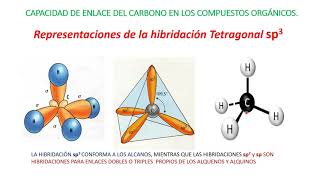 QUÍMICA ORGÁNICA VIDEO 1 HIBRIDACIÓN DEL CARBONO [upl. by Sivia469]