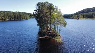 Finnskogen  Sweden  Mavic Mini Clips [upl. by Acnayb93]