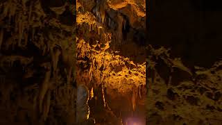 Cave florida cavern state park caveflorida [upl. by Delcine980]