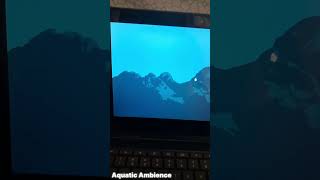 Arch Linux on Chromebook linux archlinux google chromebook chrome hyprland computer distro [upl. by Ailices502]