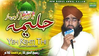 Yeh Kehti Thi Ghar Ghar Ja Kar Haleema  New Naat 2023  Heart Touching Naat  mufti ghulam dastagir [upl. by Nnyl]