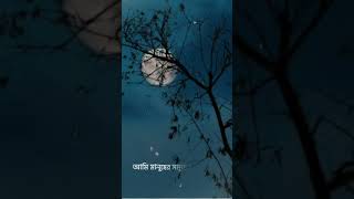 Amake amar moto thakte dao song song aesthetic aesthetic [upl. by Hsur966]