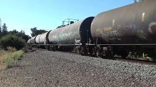 BNSF 7341 with the RICBAR 19sep24 [upl. by Dukey579]