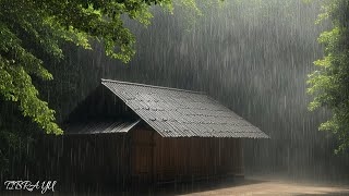 Rain on Tin Roof with Thunder  Continuous Rain Sounds for Sleeping All Nigh [upl. by Yseulte]