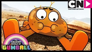 As Origens  Parte 2  O Incrível Mundo de Gumball  Cartoon Network [upl. by Torey]