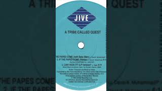 A Tribe Called Quest  If The Papes Come Remix Last Verse ATCQ IfThePapesCome Remix 1990 [upl. by Arualana]