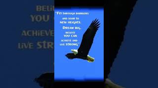 Be Like Eagle motivationquotes inspirationalquotes shorts [upl. by Temirf782]