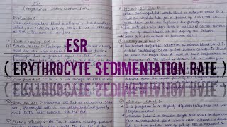 ESR  erythrocyte sedimentation rate  method of esr [upl. by Avrom]