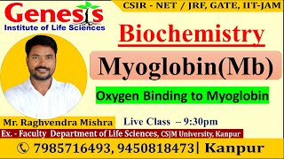 Myoglobin  Biochemistry  New online quotBatchquot for CSIR NETJRF  IITJAM [upl. by Aurilia]