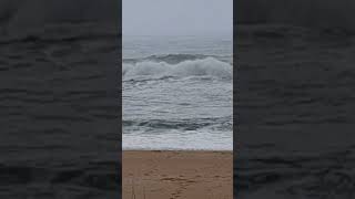 Check out Lakes Entrance beach today australia shorts [upl. by Geanine426]