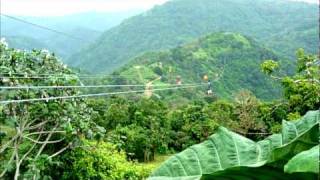 Saige and Alberto do the zipline in Puerto Rico [upl. by Marthe942]