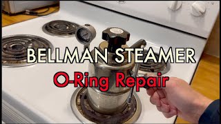 Bellman Steamer ORing Repair [upl. by Rennoc]