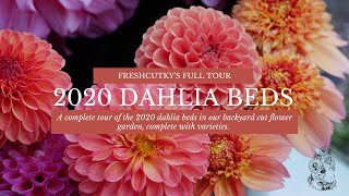 DAHLIAS FULL TOUR  FRESHCUTKY 2020 Cut Flower Garden [upl. by Berner]