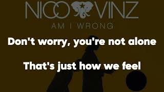 KARAOKE Am I Wrong  Nico amp Vinz [upl. by Lisbeth]