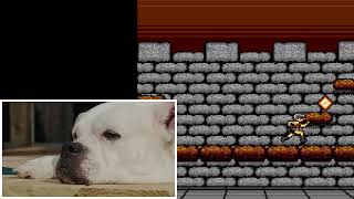 Dogs review the most insanely terrifyingly unfinished published Amiga platform game of all time [upl. by Farleigh]