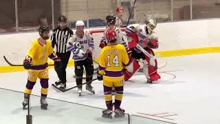 Connor Bedard stoned by Michael Harroch and the Purple Cobras NSIHLA roller hockey highlights [upl. by Kamerman727]