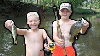 Micro Rod Vs Cane Pole Creek Fishing Challenge [upl. by Jerusalem]