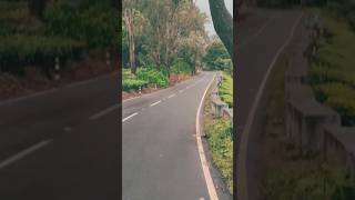 Athirappilly to Valparai 30sec Solo Ride nature travel solo bike shorts kerala [upl. by Gristede]