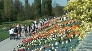 Blumeninsel Mainau [upl. by Cortie149]