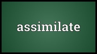 Assimilate  Raging Void  Lyrics HD [upl. by Adnolor]