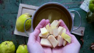 Quitten einkochen einfache Marmelade mit Quitten [upl. by Leahciam]