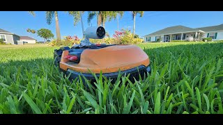 LandroidLive Worx Robotic Lawn Mower cuts the lawn LIVE [upl. by Uyekawa]