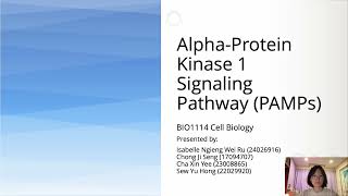 15 Alpha Protein Kinase 1 Signaling Pathway [upl. by Claudie]