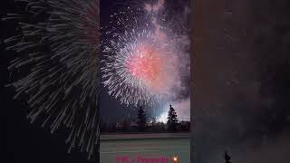 Fireworks 🎇 calgaryfestivals yyc viral shorts viralshorts canada india gujarati hindi [upl. by Reece406]