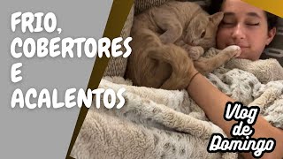 AGORA O FRIO CHEGOU DE VEZ  VLOG DE DOMINGO VIDA NOS EUA [upl. by Rintoul]