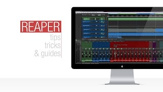 Reaper Tutorial Time Selection Auto Punch Recording [upl. by Aikemehs340]