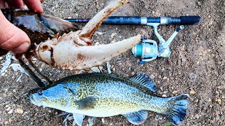 Catching Crayfish Cod And Cold Feet Murray Cod Fishing In May [upl. by Irbmac836]